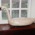 swandecoy