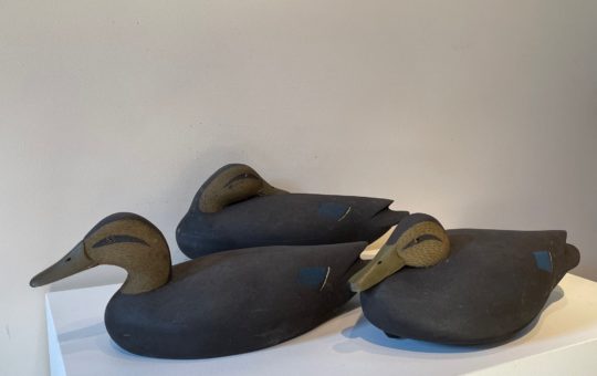 antique black duck decoys