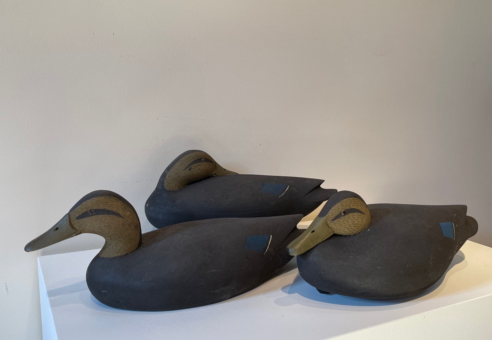 antique black duck decoys rel=