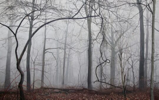 Sean Mount landscape painting