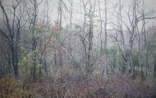 Sean Mount Pennsylvania landscape